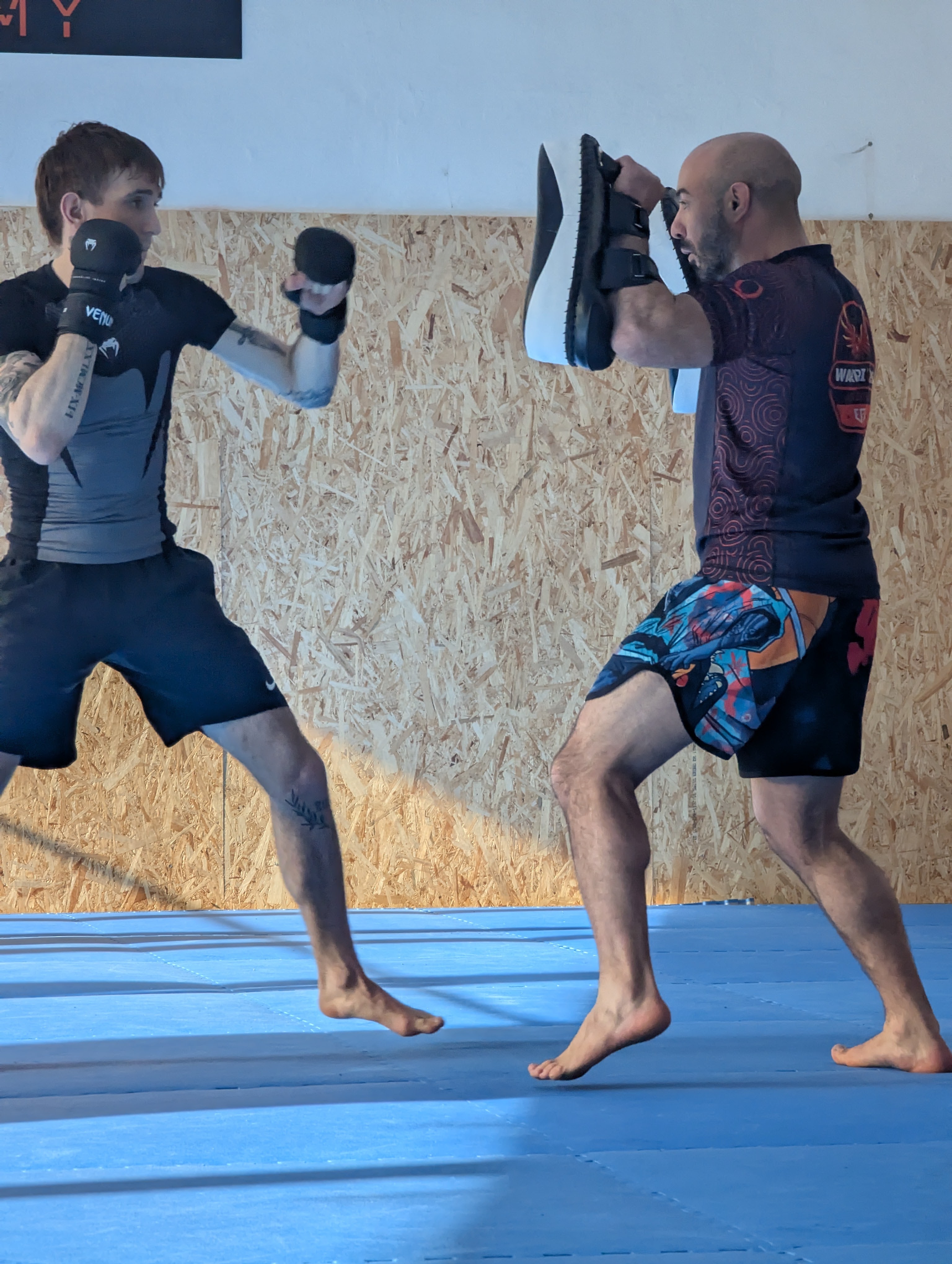 Allenamento MMA alla Warriors Academy