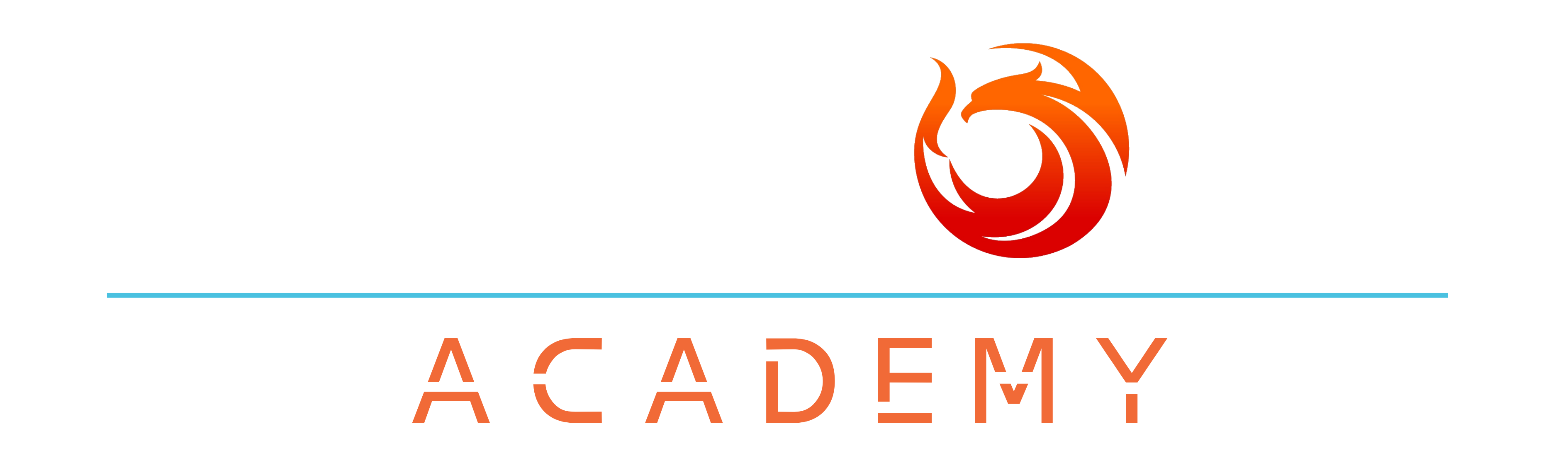 Warriors Academy